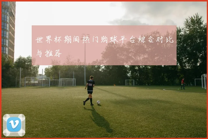 世界杯期间热门购球平台综合对比与推荐