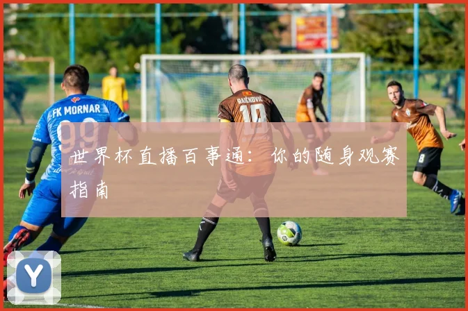 世界杯直播百事通：你的随身观赛指南