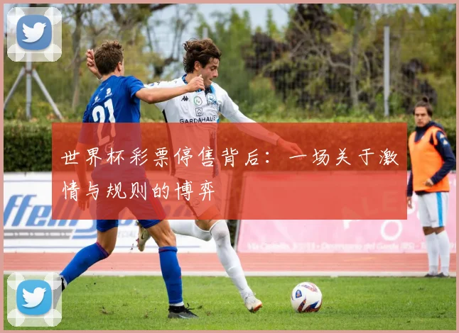 世界杯彩票停售背后：一场关于激情与规则的博弈