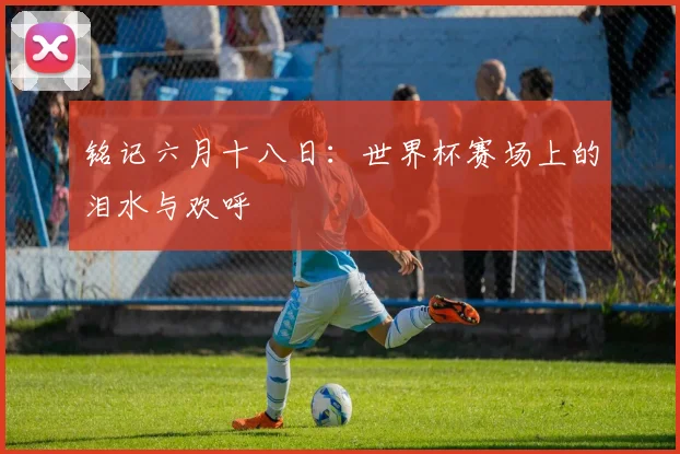 铭记六月十八日：世界杯赛场上的泪水与欢呼