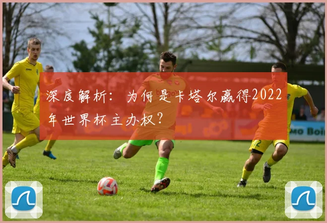 深度解析：为何是卡塔尔赢得2022年世界杯主办权？