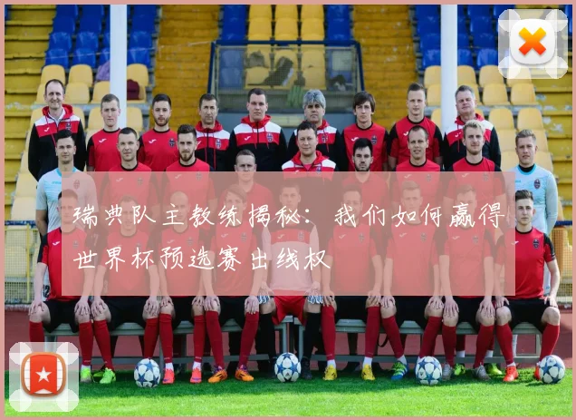 瑞典队主教练揭秘:我们如何赢得世界杯预选赛出线权