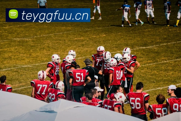 乐鱼体育官方网站APP 高清赛事图